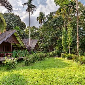 Khao Sok Riverside Cottages